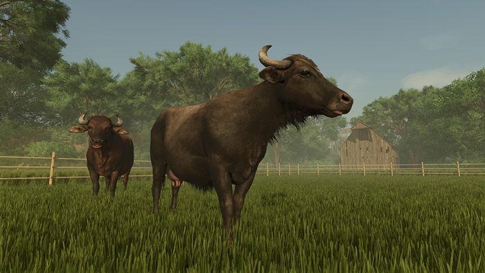 Farming Simulator 25 Plains & Prairies Pack