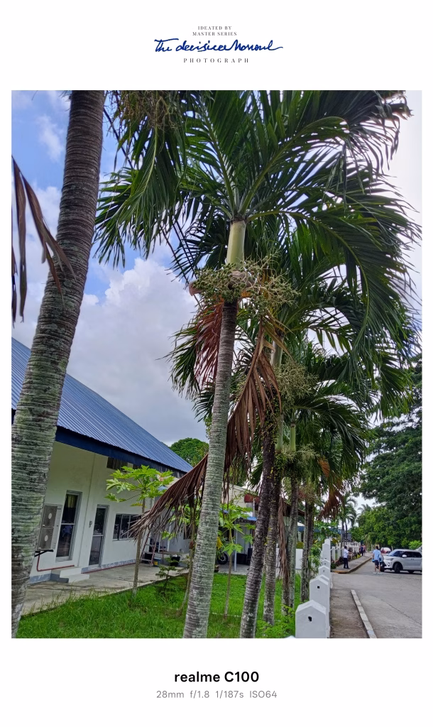 realme c100 camera samples realme c100 review thefanboyseo (5)