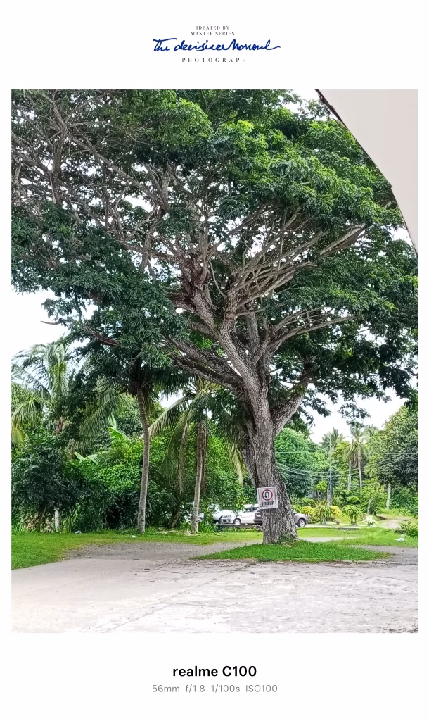 realme c100 camera samples realme c100 review thefanboyseo (6)